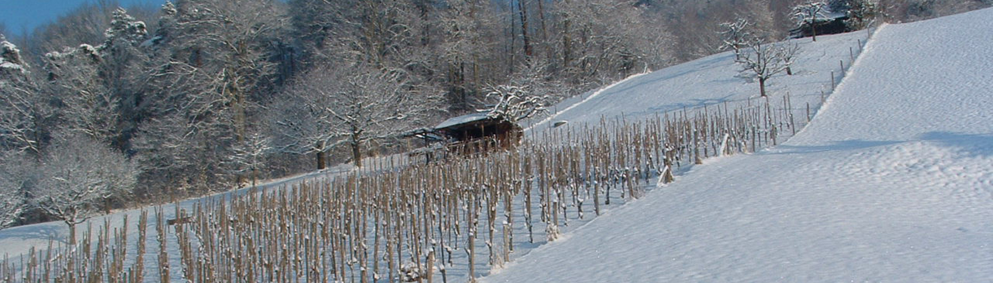 Weinmesse Basel