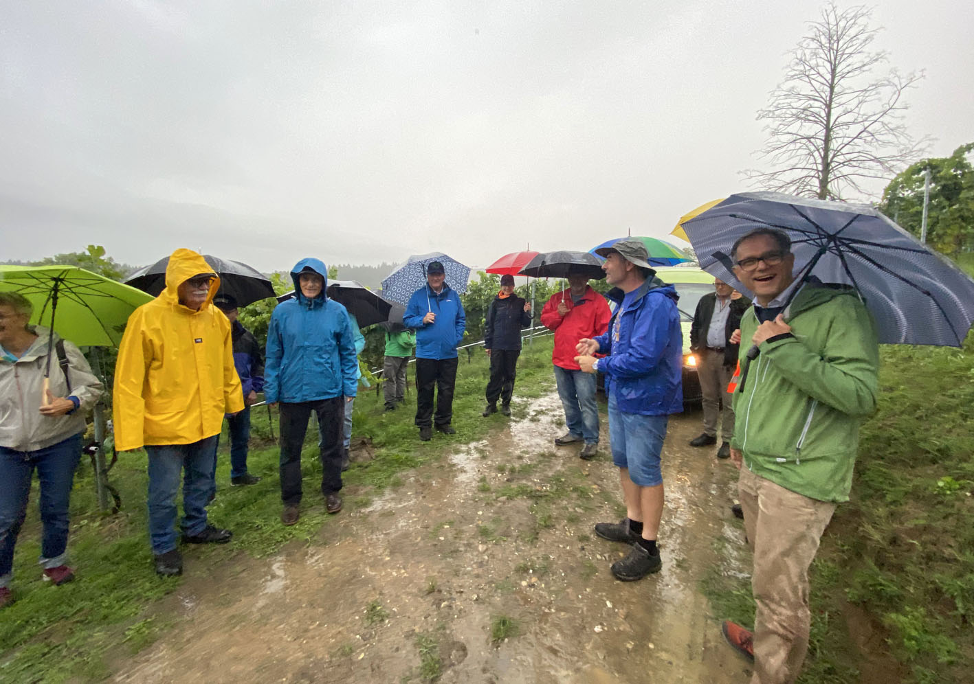 Rebgang 2025 im Kanton Solothurn